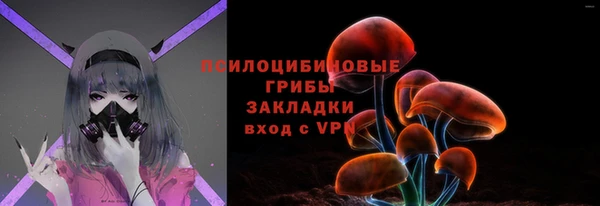 твердый Алексеевка
