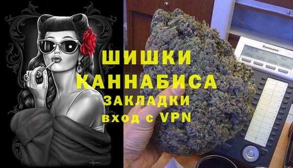 сатива Алзамай