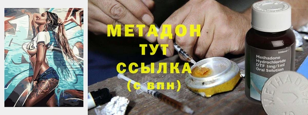 сатива Алзамай