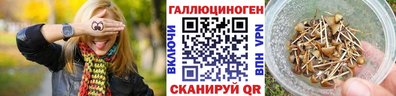 Псилоцибиновые грибы прущие грибы  цены   ОМГ ОМГ сайт  Микунь 